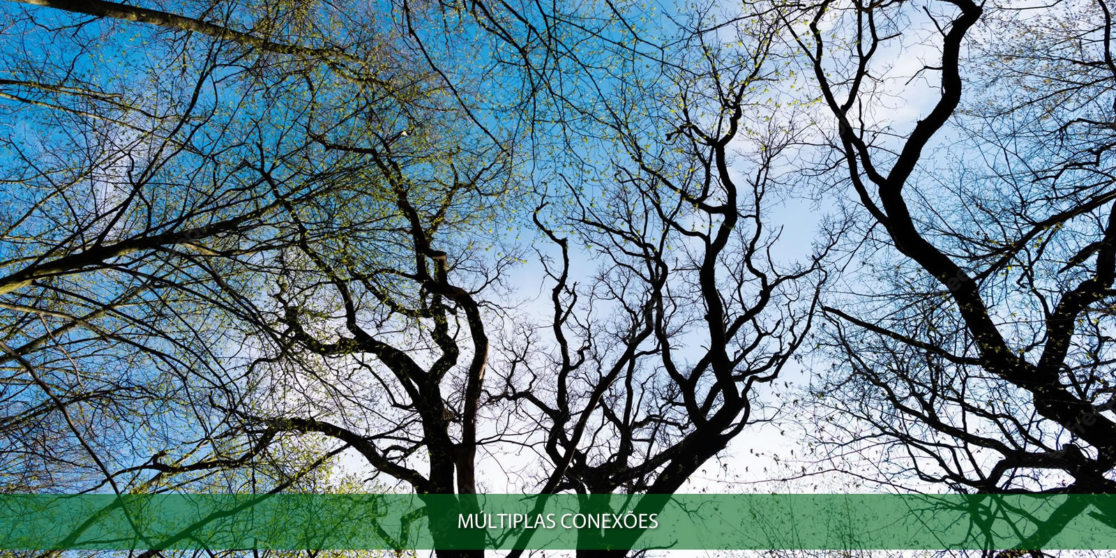 Figura 6 - CONTABILIDADE SOCIAL. O ENVOLVIMENTO COM A EVOLUÇÃO HUMANA NA SOCIEDADE